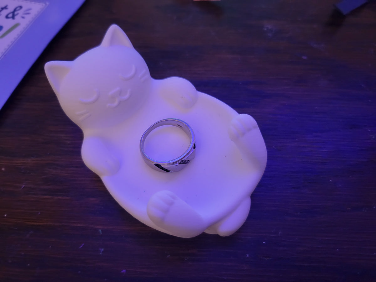 Cat Tray