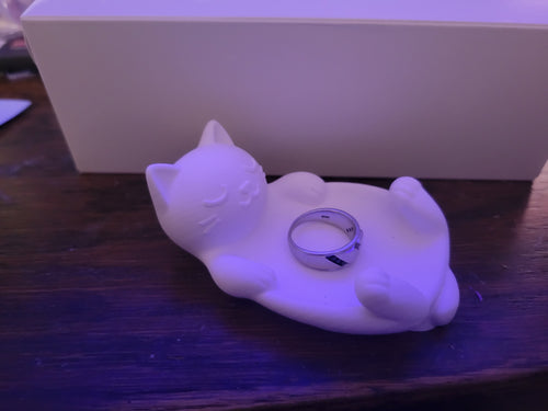 Cat Tray
